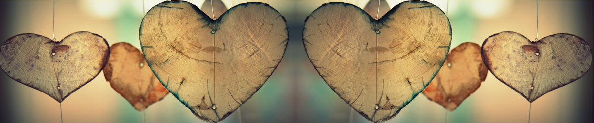 Sección Microlockos Romanticismo