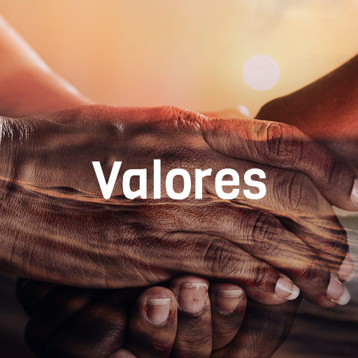 Sección Microlockos Valores